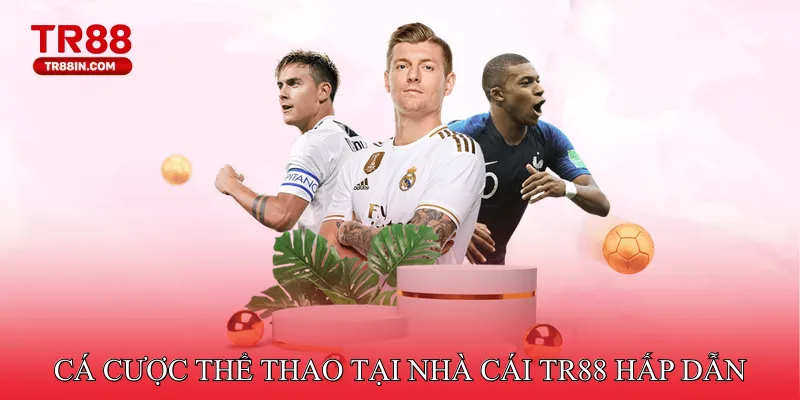 Cá cược thể thao tại nhà cái TR88 hấp dẫn, tiện lợi