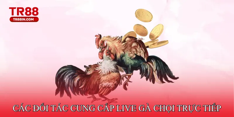 Các đối tác cung cấp live gà chọi trực tiếp cho TR88