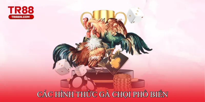 Các hình thức gà chọi phổ biến tại hệ thống 