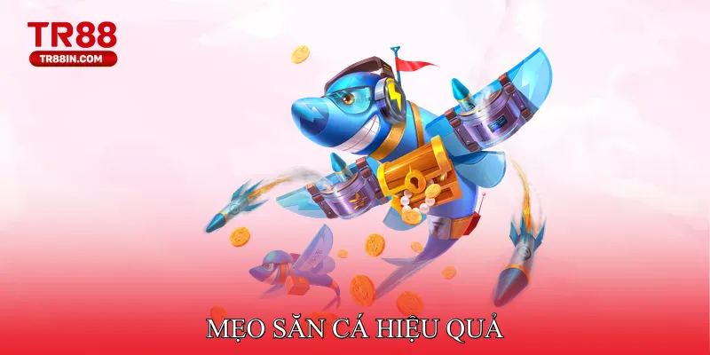 Mẹo săn cá hiệu quả